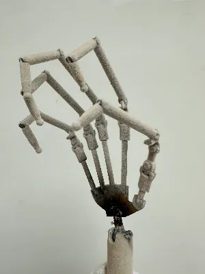 Articulated Fingers